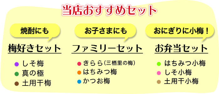 当店おすすめセット